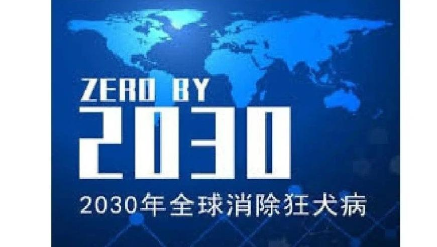 一肖一码100准中奖澳门2025,明星都在挑战石矶娘娘配音,决策资料解释落实_户外版V2.41