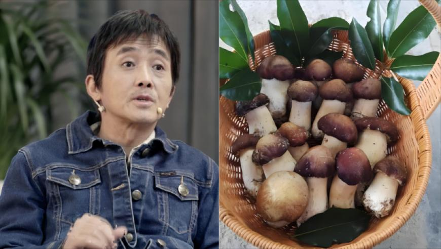 大数据预测哪吒2票房破95亿,澳门123开奖直播 开奖结果台,经济性执行方案剖析_户外版V7.55