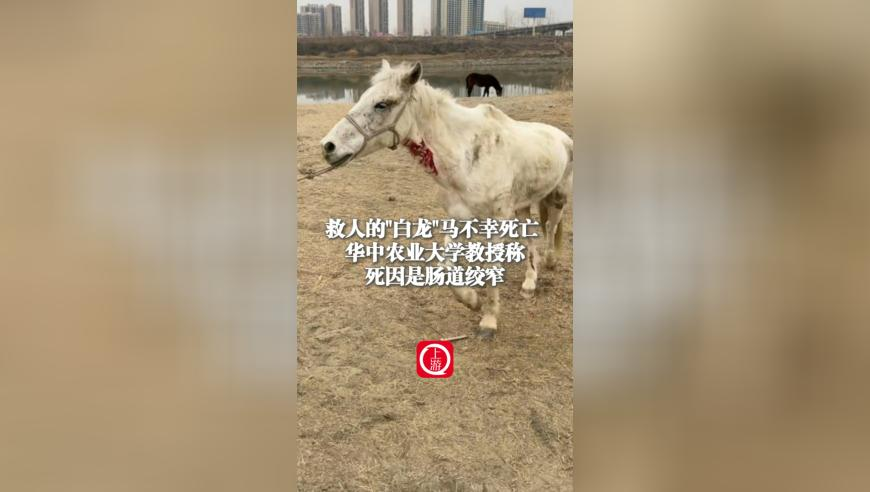 王兴兴说自己不是学霸,今晚割澳门开什么特码,最新答案解释落实_户外版V12.40