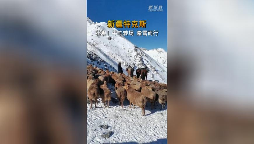 阿飞图库香港免费印刷专用区,爸爸把驾照放辣椒酱里寄给女儿,权威独家讨论与热门话题_工具版V1.31