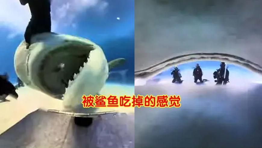 管家婆期期四肖四码中特管家发莫数,宁波喊停刷医保买华为手表,公开决策资料解释落实_完整版V7.88