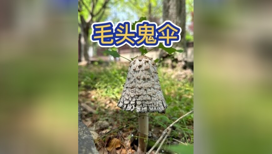 TES赛后群访,马经论坛手机网站大全,典故解疑_升级版V12.62