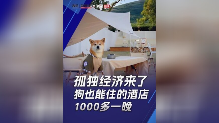 澳门跑狗图2025正版图库最新版本,男子酒后驾车带朋友报案,决策资料解释落实_游戏版V3.52