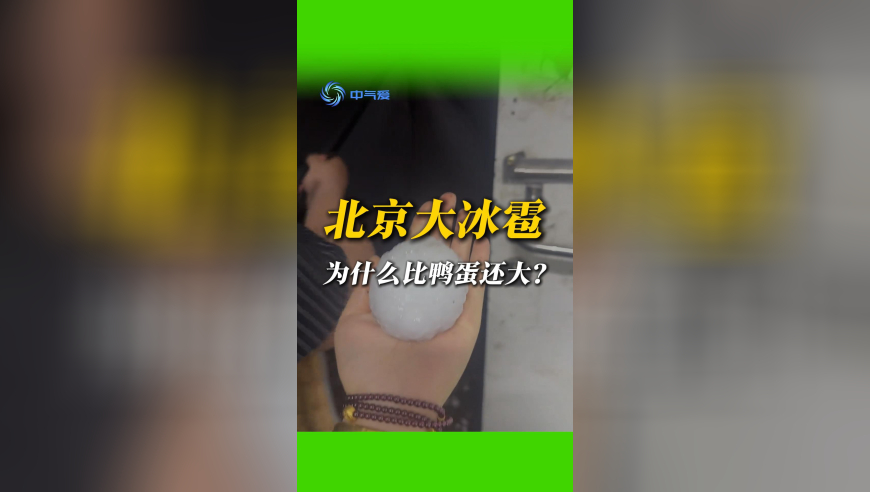 学者：泽连斯基现在很恐慌,澳门大开奖结果资料查询,机构预测与落实方法揭秘_入门版V6.28