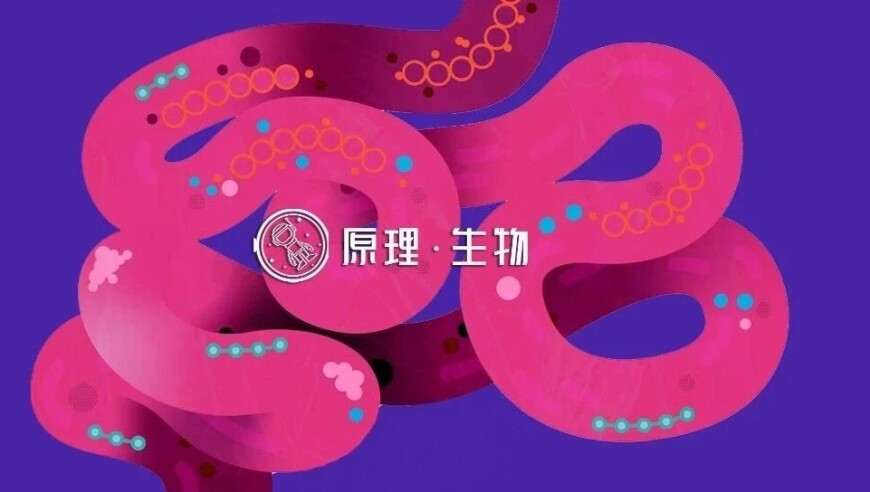 马斯克再度来中国解产能之困,2025管家婆白小姐网站,准确资料解释落实_精简版V11.30